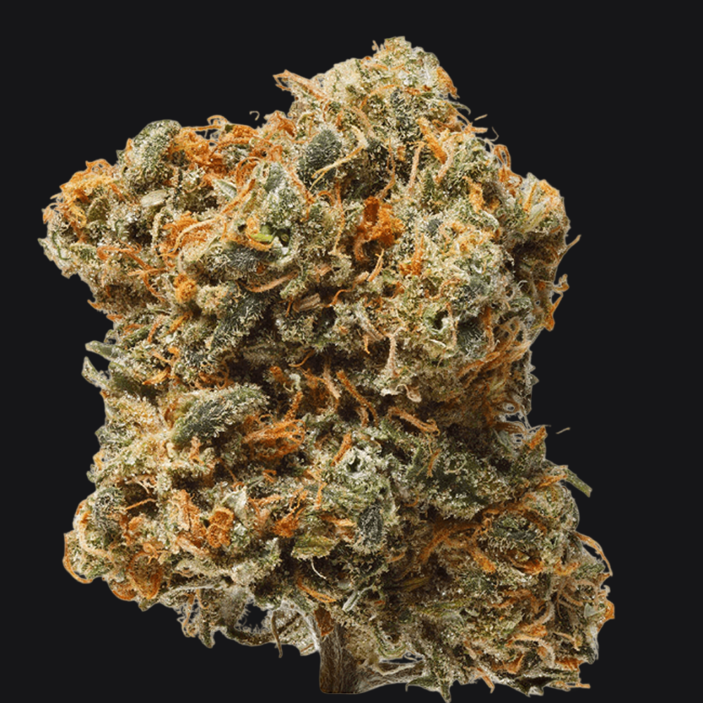 Exotic Strains