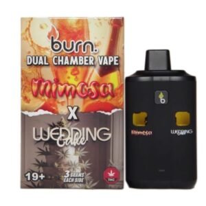 Burn Dual Chamber Vape