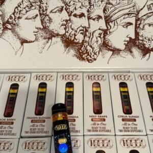 Infinity Hitz Disposable