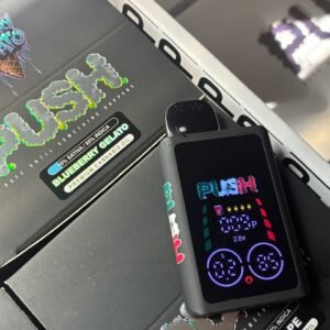 Push Disposable 2G